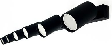 Спот Truenergy 21374