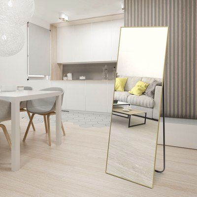 Зеркало Алмаз-Люкс Напольное МА1nu-15050