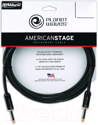 Кабель гитарный Planet Waves PW-AMSG-10 - фото