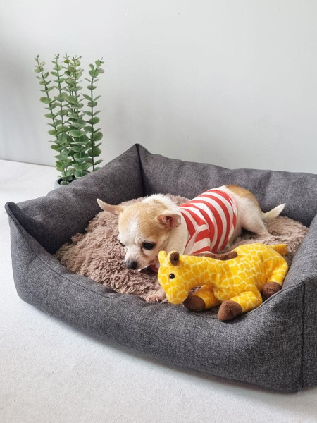 Лежанка для животных MATEX Pet Lux / 55-990