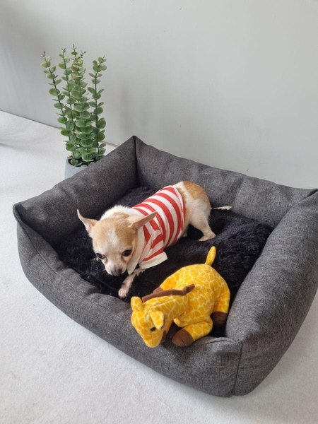 Лежанка для животных MATEX Pet Lux / 56-010