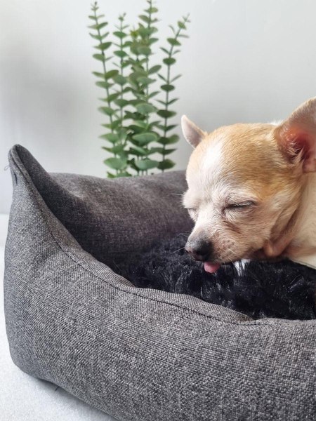 Лежанка для животных MATEX Pet Lux / 56-010