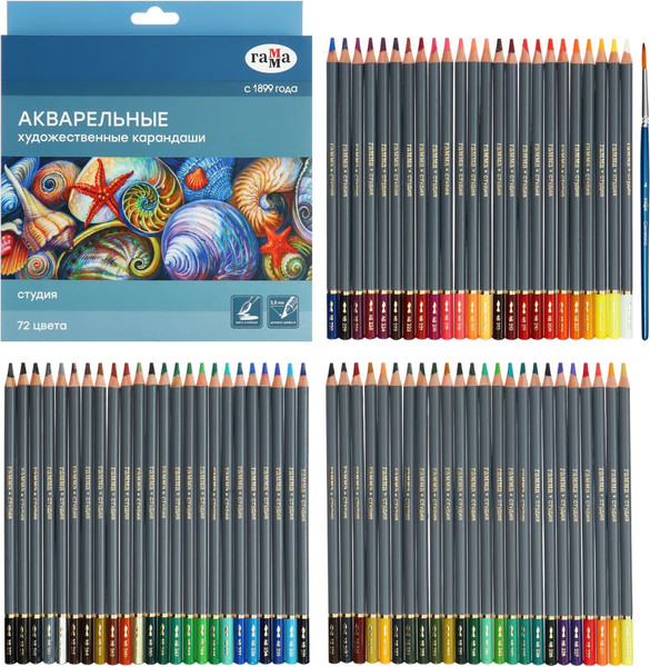 Набор акварельных карандашей ГАММА Студия / 110822_72