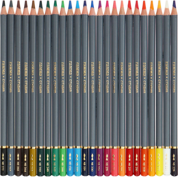 Набор акварельных карандашей ГАММА Студия / 110822_24