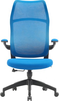 Кресло офисное Cactus CS-MC505-BL