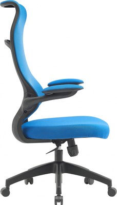 Кресло офисное Cactus CS-MC505-BL