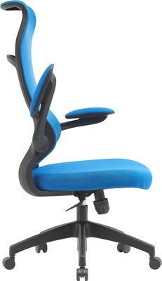 Кресло офисное Cactus CS-MC505-BL