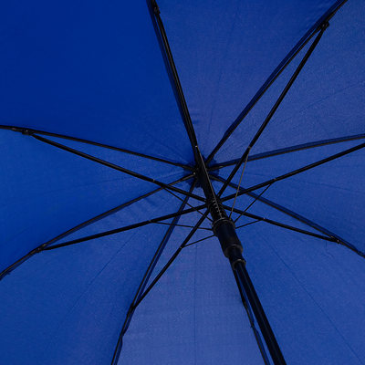 Зонт складной Rain Berry 734-4110-NAV