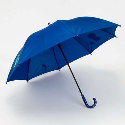 Зонт складной Rain Berry 734-4110-NAV