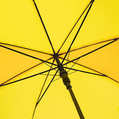 Зонт-трость Rain Berry 734-4110-YLW