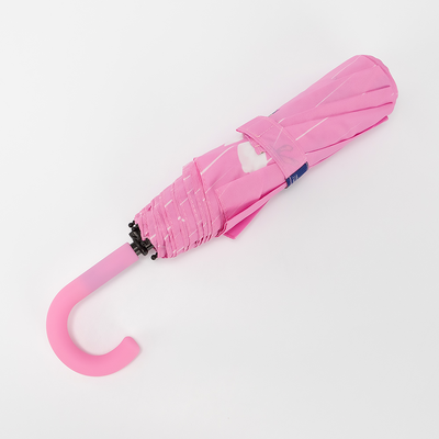 Зонт складной Rain Berry 734-2313-PNK