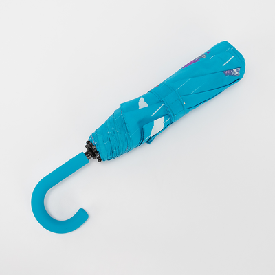 Зонт складной Rain Berry 734-2313-BLU