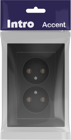 Розетка INTRO Accent 6-204-05 / Б0063465