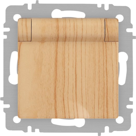 Розетка INTRO Accent 6-203-11 / Б0063479 - фото