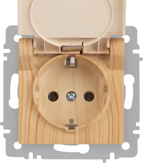 Розетка INTRO Accent 6-203-11 / Б0063479