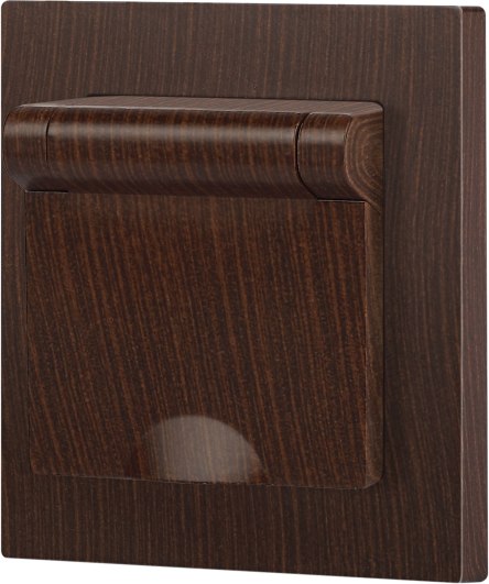 Розетка INTRO Accent 6-203-10 / Б0063454