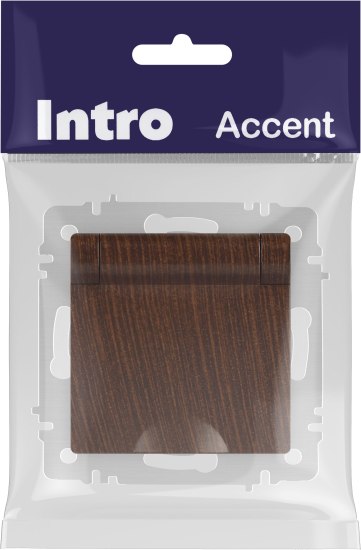 Розетка INTRO Accent 6-203-10 / Б0063454