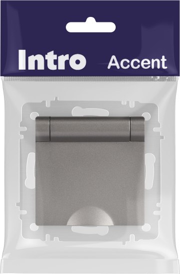 Розетка INTRO Accent 6-203-09 / Б0063471