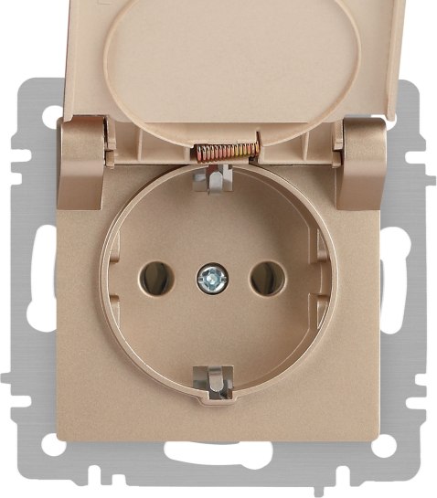 Розетка INTRO Accent 6-203-04 / Б0063738
