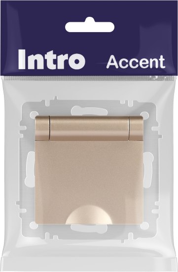 Розетка INTRO Accent 6-203-04 / Б0063738