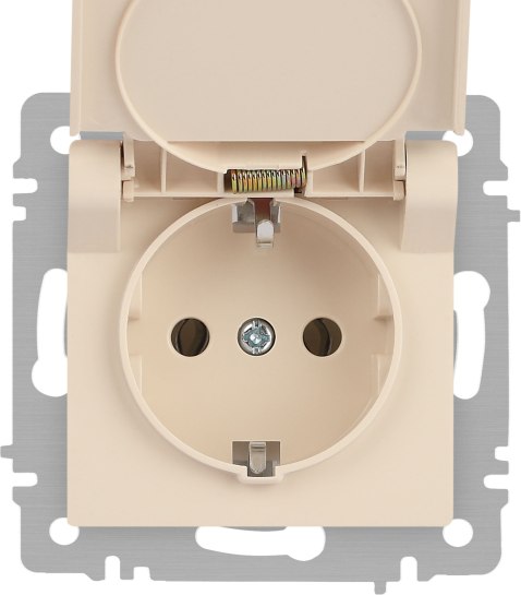 Розетка INTRO Accent 6-203-02 / Б0063716
