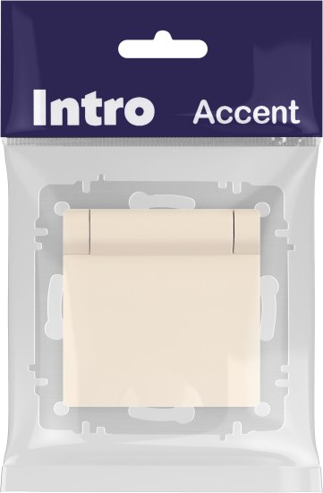 Розетка INTRO Accent 6-203-02 / Б0063716