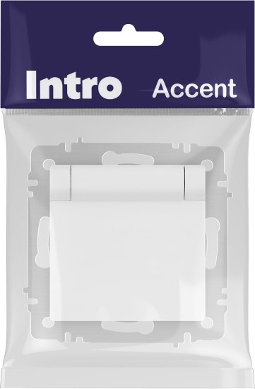 Розетка INTRO Accent 6-203-01М / Б0063713