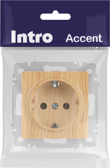 Розетка INTRO Accent 6-202-11 / Б0063706