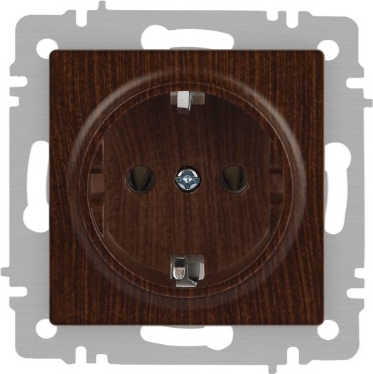 Розетка INTRO Accent 6-202-10 / Б0063703 - фото