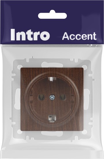 Розетка INTRO Accent 6-202-10 / Б0063703