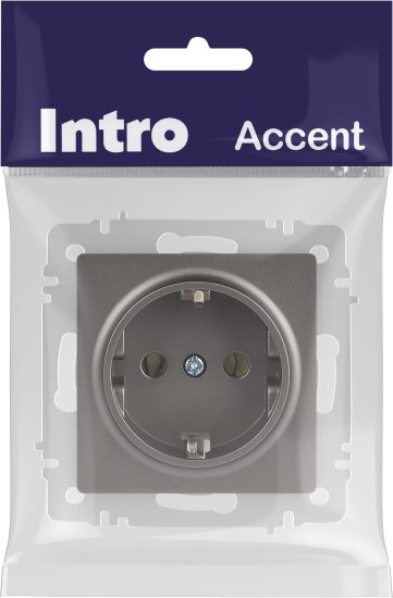 Розетка INTRO Accent 6-202-09 / Б0063701