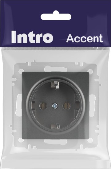 Розетка INTRO Accent 6-202-07 / Б0063697