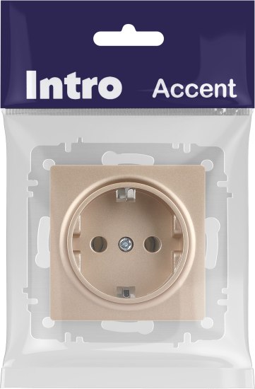 Розетка INTRO Accent 6-202-04 / Б0063690