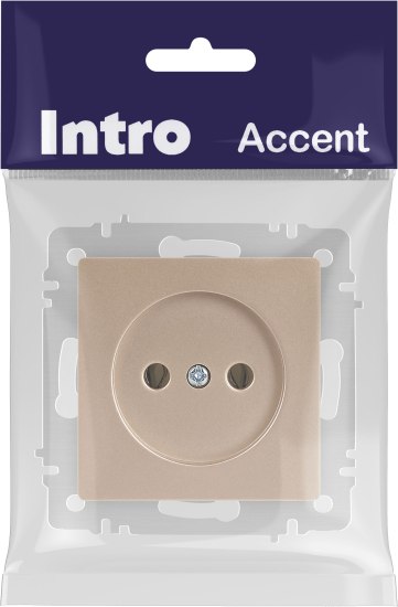Розетка INTRO Accent 6-201-04 / Б0063663