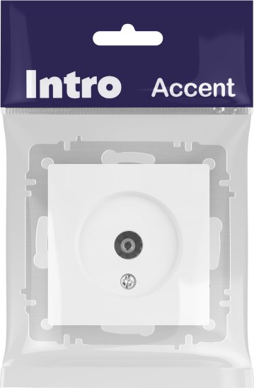 Розетка INTRO Accent 6-301-01М / Б0063603