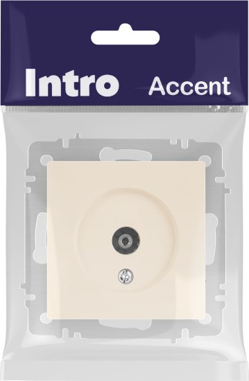 Розетка INTRO Accent 6-301-02 / Б0063605