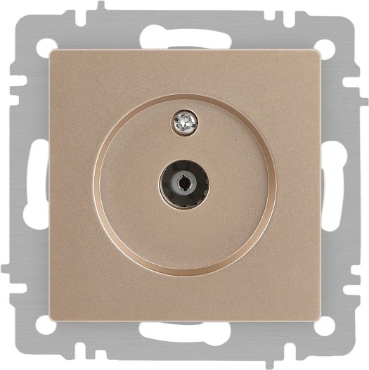 Розетка INTRO Accent 6-301-04 / Б0063609 - фото