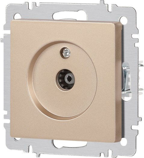 Розетка INTRO Accent 6-301-04 / Б0063609