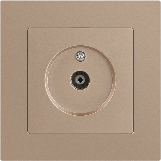 Розетка INTRO Accent 6-301-04 / Б0063609