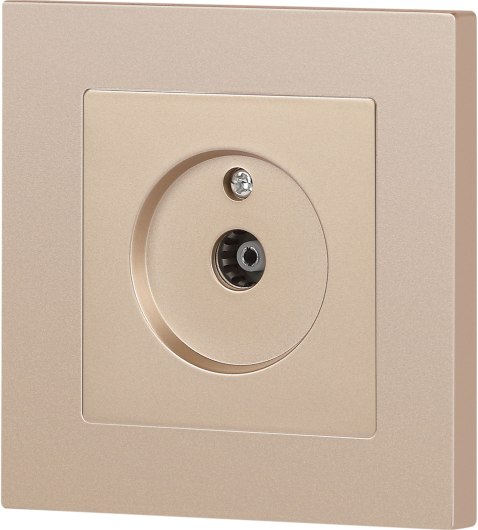 Розетка INTRO Accent 6-301-04 / Б0063609