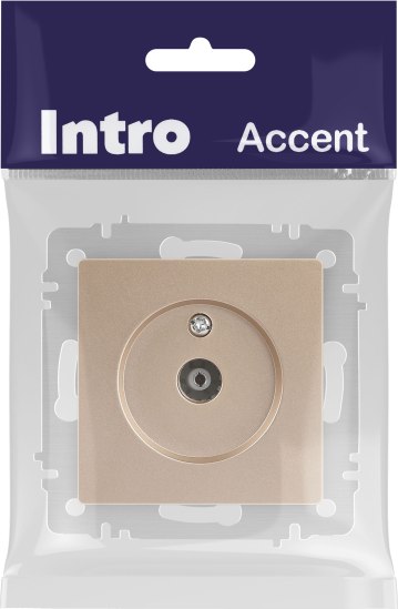 Розетка INTRO Accent 6-301-04 / Б0063609