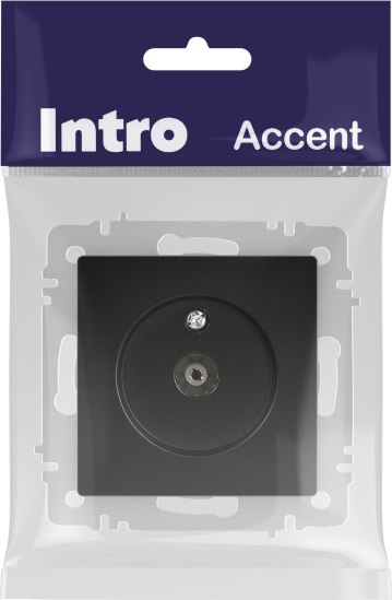 Розетка INTRO Accent 6-301-05 / Б0063611