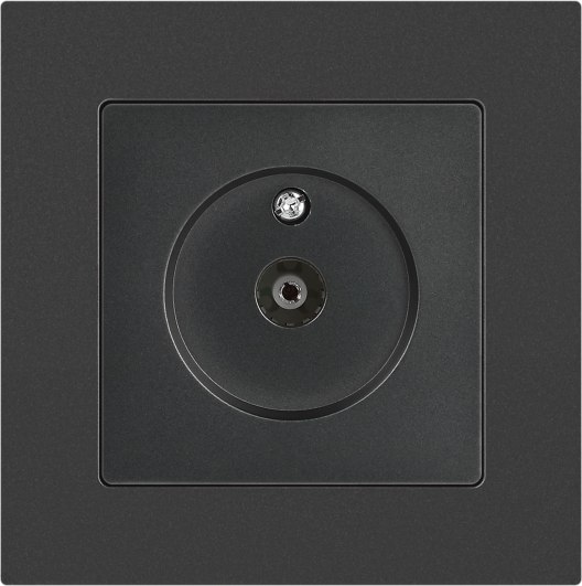 Розетка INTRO Accent 6-301-07 / Б0063614