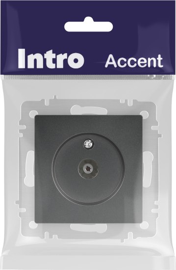 Розетка INTRO Accent 6-301-07 / Б0063614