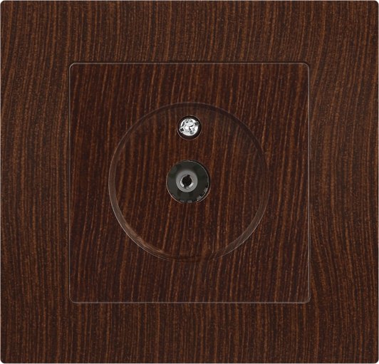 Розетка INTRO Accent 6-301-10 / Б0063620