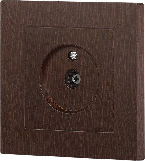 Розетка INTRO Accent 6-301-10 / Б0063620