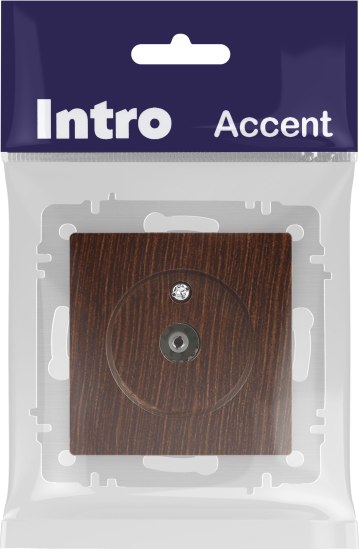 Розетка INTRO Accent 6-301-10 / Б0063620