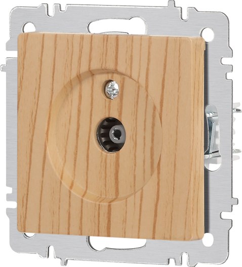 Розетка INTRO Accent 6-301-11 / Б0063622