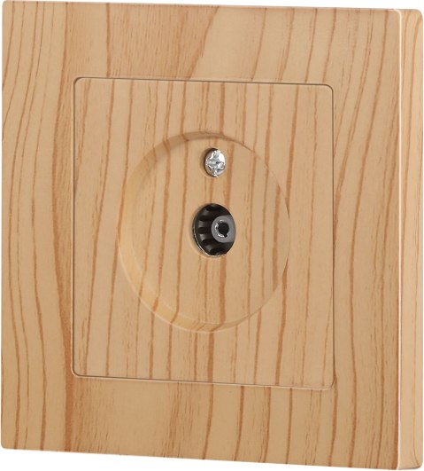 Розетка INTRO Accent 6-301-11 / Б0063622