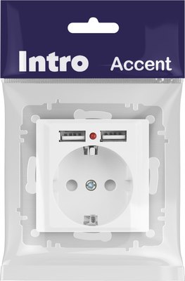 Розетка INTRO Accent 6-410-01М / Б0063691
